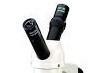 Accu-Scope Dual Inclined Teaching Head For Accu-Scope 3088 Microscope - Microscope Central