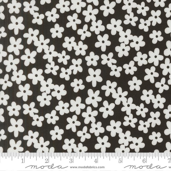 Black as Night Daisy- True to Hue- Fat Quarter