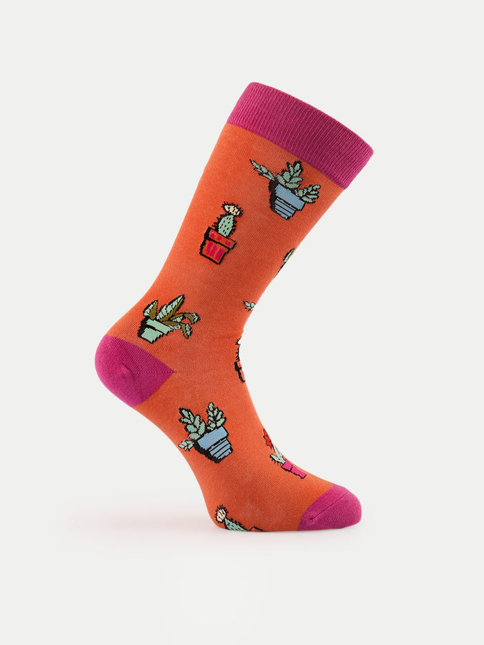 Cosmic Crew Socks | Succulents-Image 2