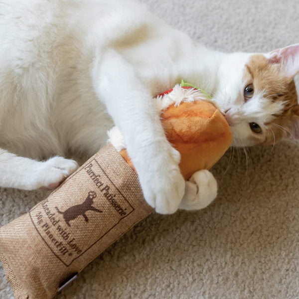 Feline Frenzy Kicker Toys - City Bird