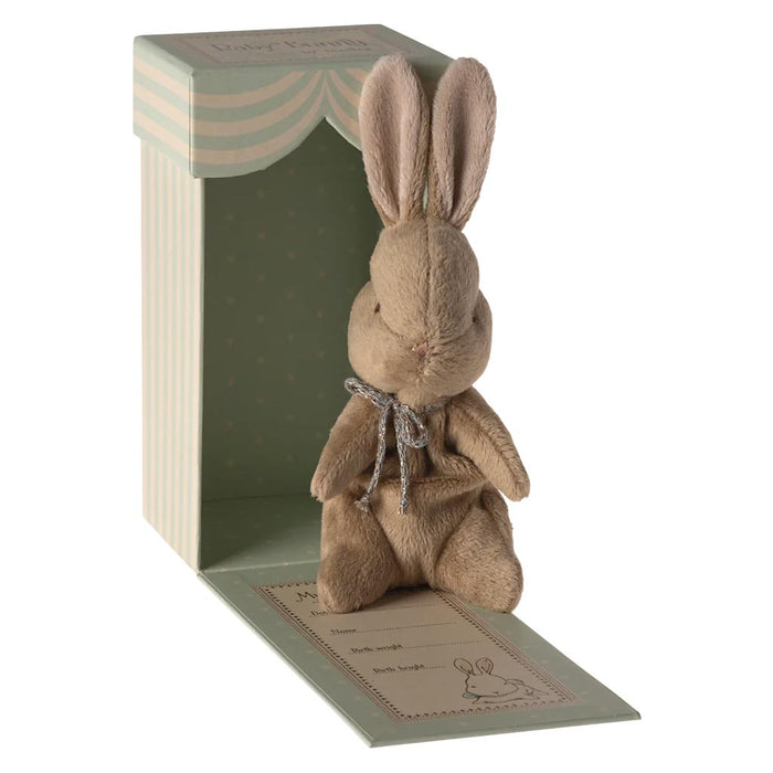 My First Bunny In Box