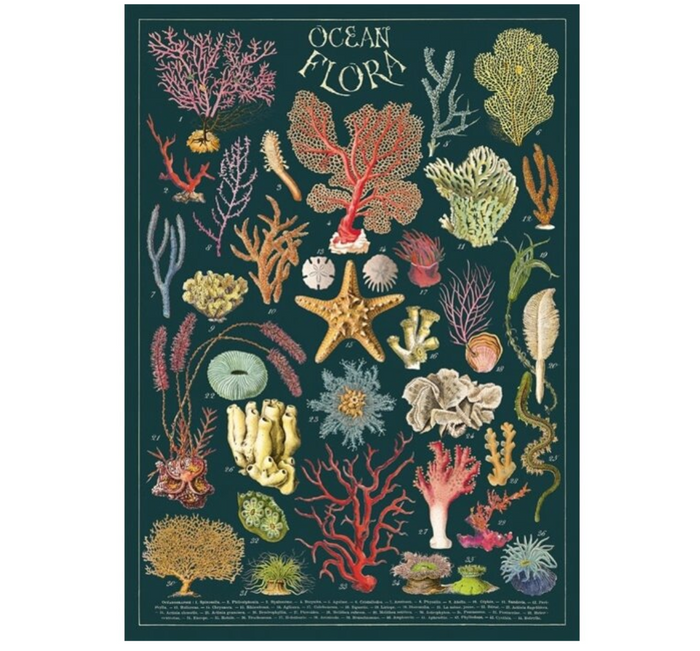 Ocean Flora Poster