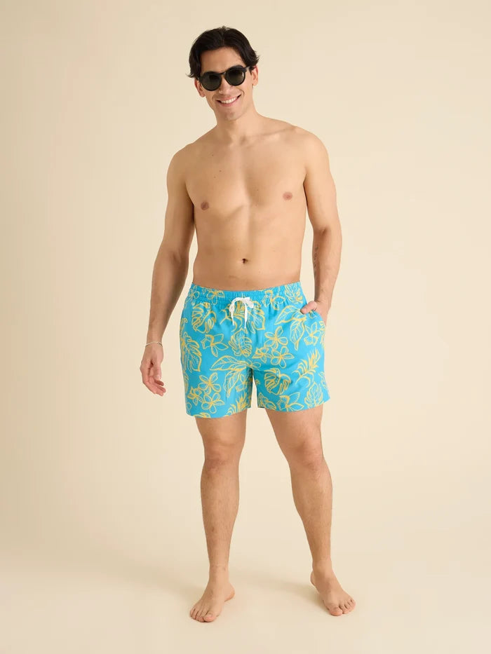 The Arboretum 5.5" (Classic Lined Swim Trunk) - Image 5 - Chubbies Shorts