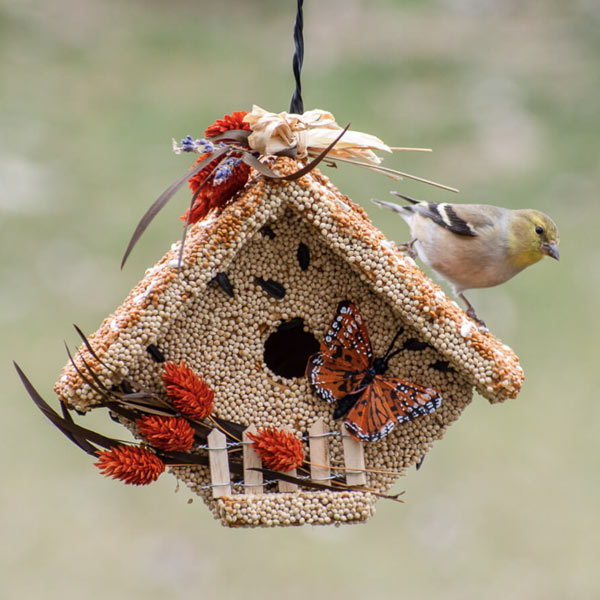 Wren Casita All Season - City Bird