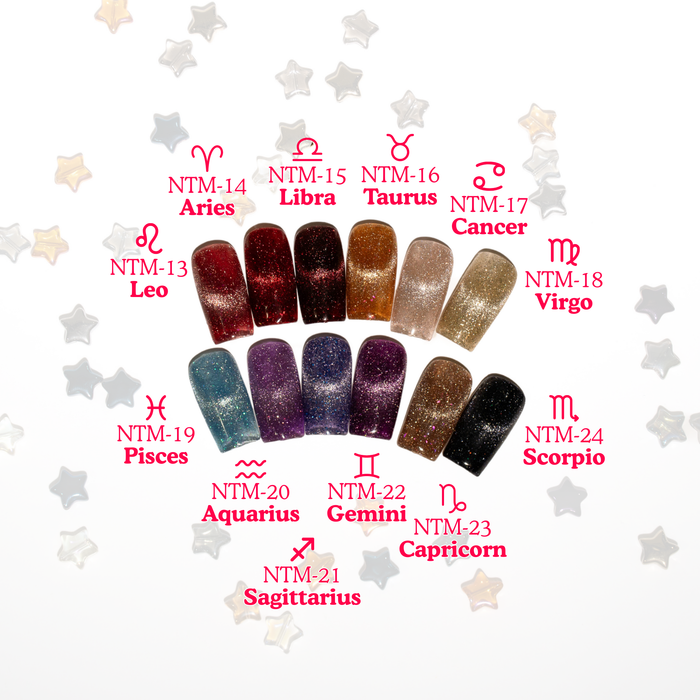 12pc Nail Thoughts Zodiac Flash Magnetic Collection (NTM-13 ~ 24)-Magnetic-Kokoist-Gel Essentialz