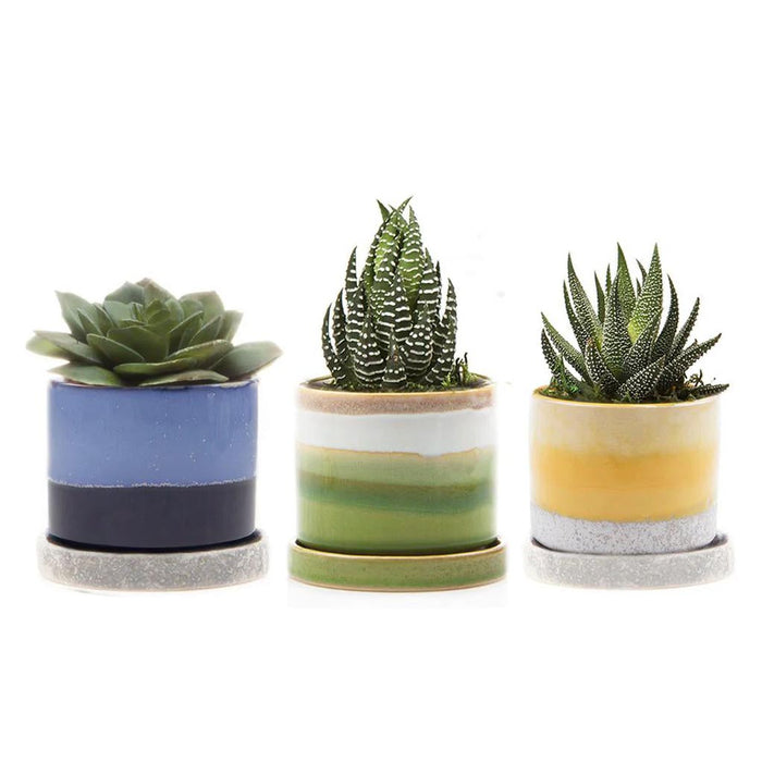 3" Minute Pot - City Bird