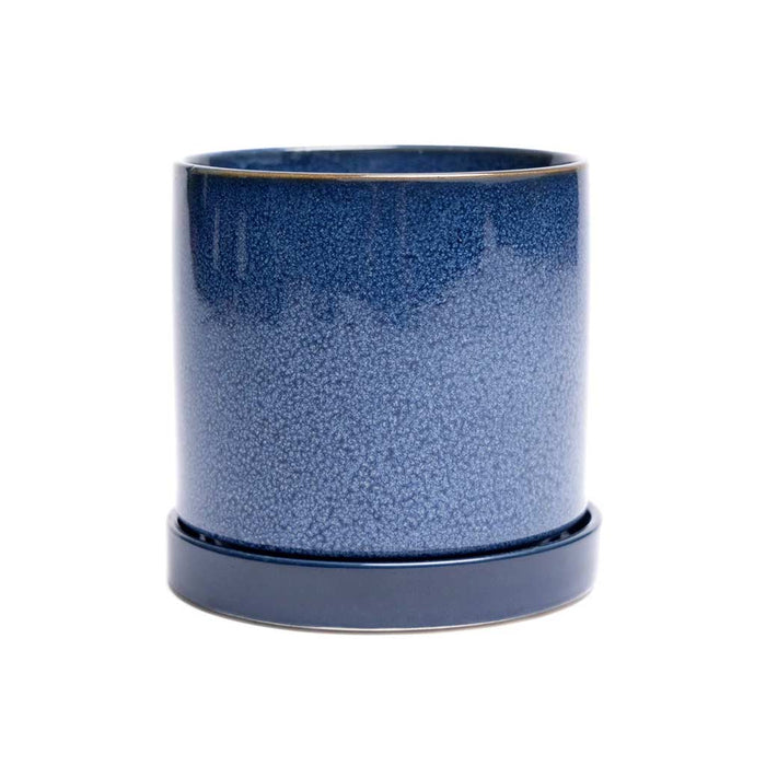 3" Minute Pot - City Bird