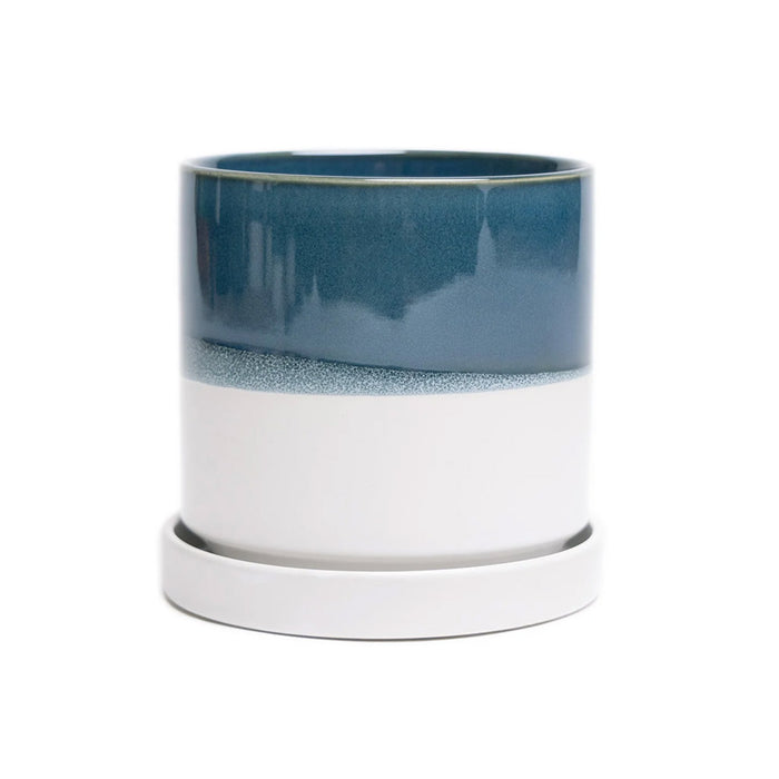 3" Minute Pot - City Bird