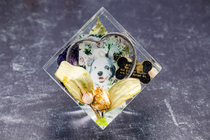 Preserved Flower Pet Hair and Photo Keepsake Pet Boutonnière photo memorial preservation