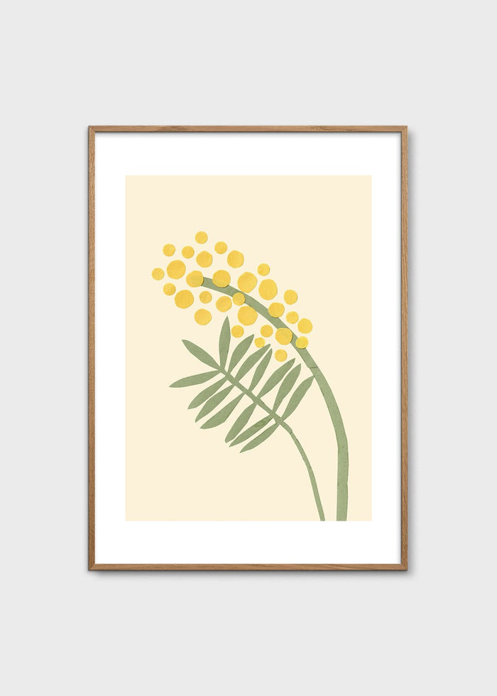Acacia by Makitoy