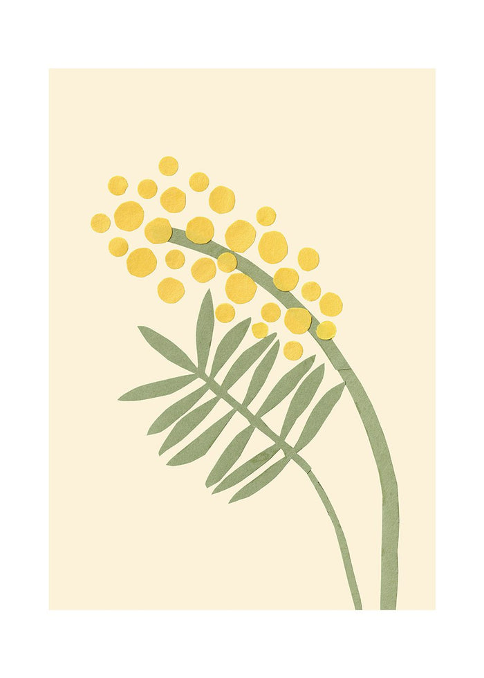 Acacia by Makitoy
