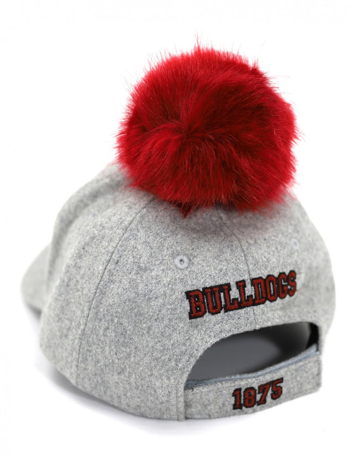 AAMU_POMPOM_CAP_BACK-788x1015-1-.jpg
