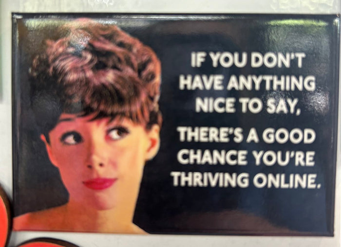 Anything Nice To Say Magnet