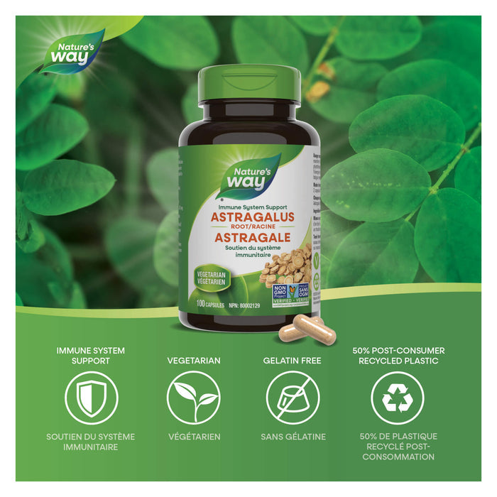 Nature's Way Astragalus Root Information