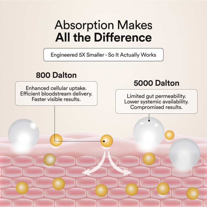 800 dalton collagen