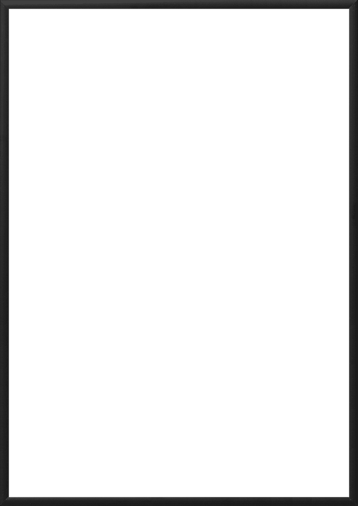 Black Alu Frame