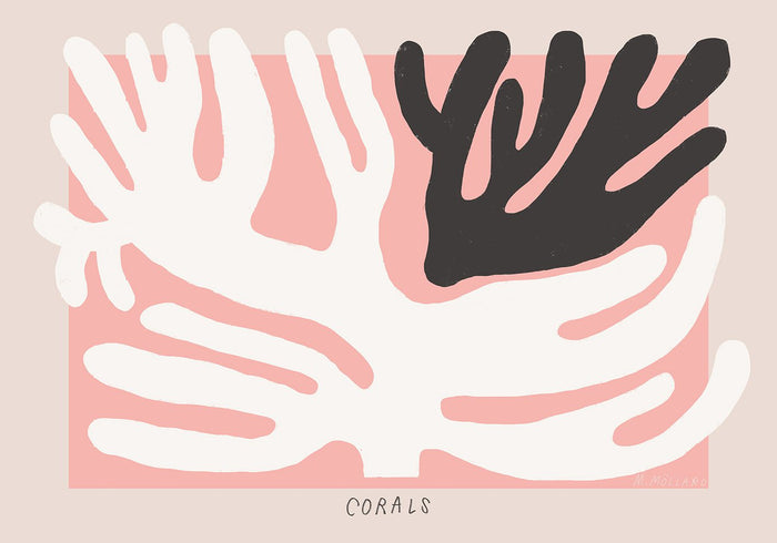 Black and White Corals by Madelen Möllard
