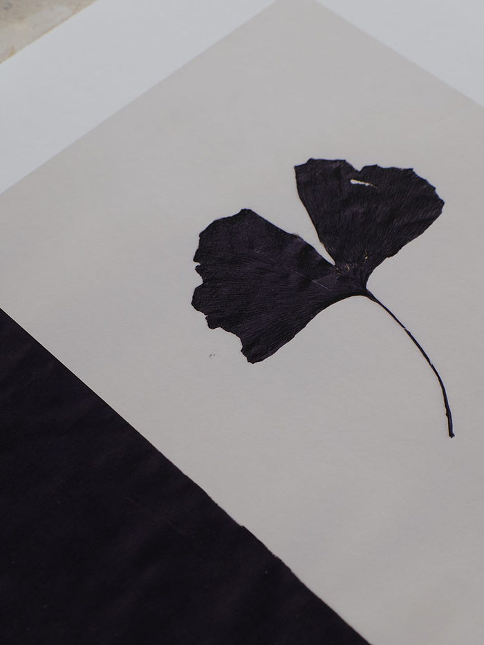 Black Ginkgo by Ana Frois