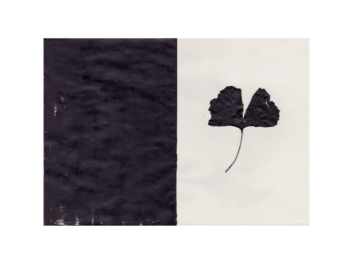 Black Ginkgo by Ana Frois