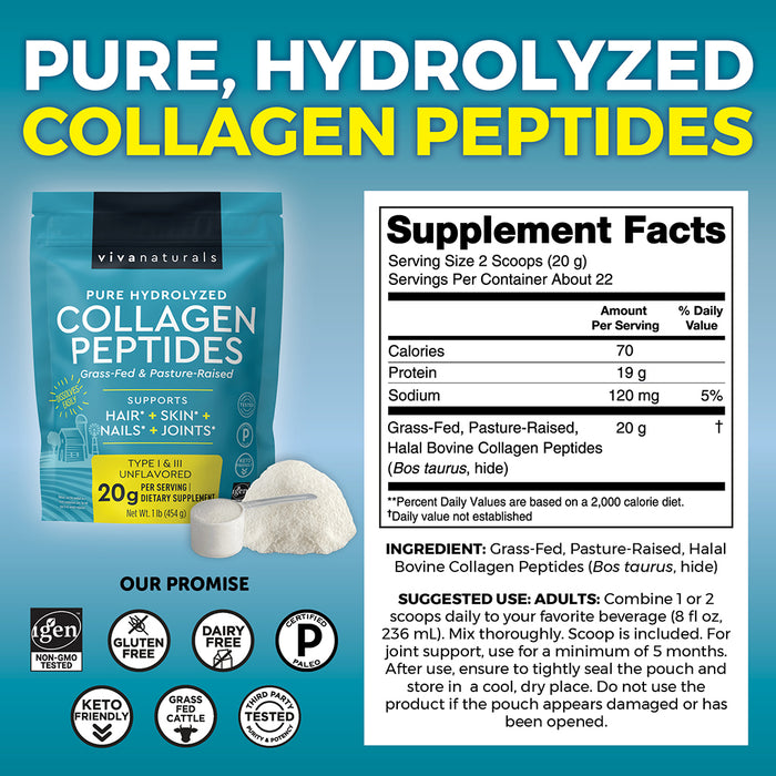 Bovine Collagen