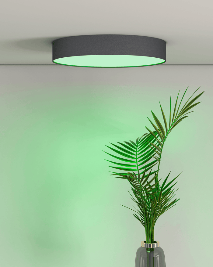 Calex Smart Ceiling Light 40cm - RGB + CCT