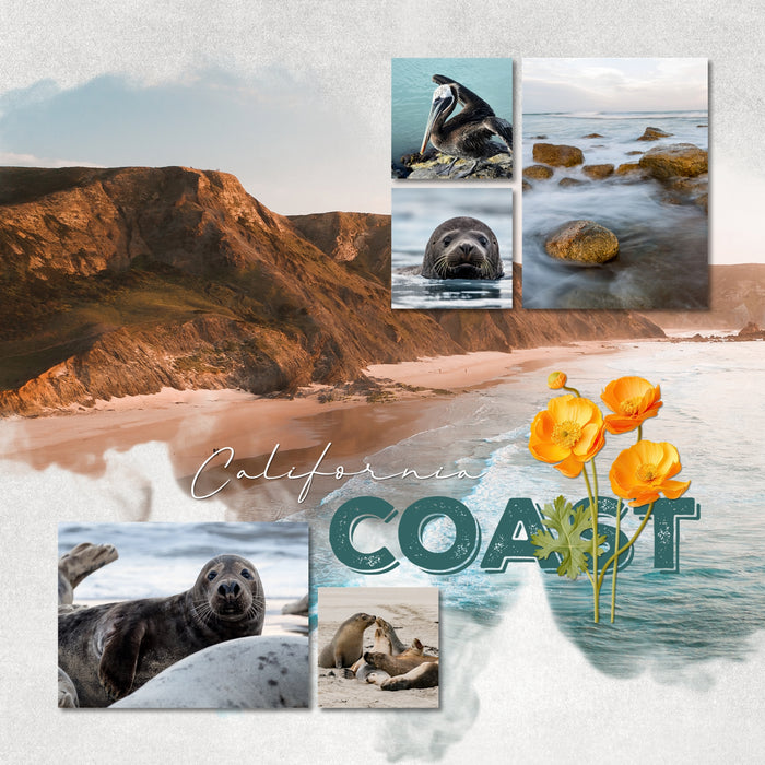 Bright and sunny, these realistic digital embellishments by Lucky Girl Creative are great for vacations and holidays to California, the beach, the big city, and so much more! Embellishments include bear, pigeon, quail, coyote, billboard sign, bridge, freeway, tour bus, trolley, bus, tram, bus stop, sports car, convertible automobile, SUV, luxury car, limo, Chinatown, construction, wharf, boardwalk, downtown, and more!