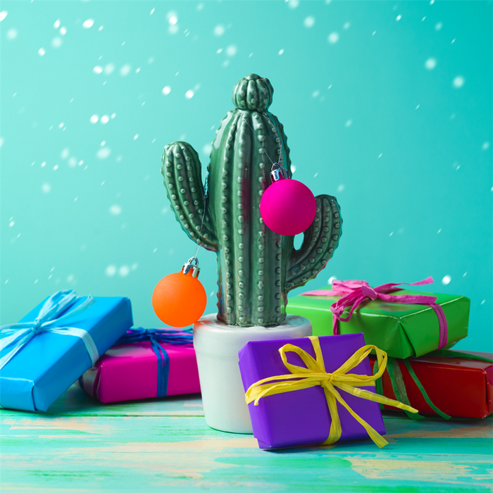 Christmas Cactus Fragrance Oil 939