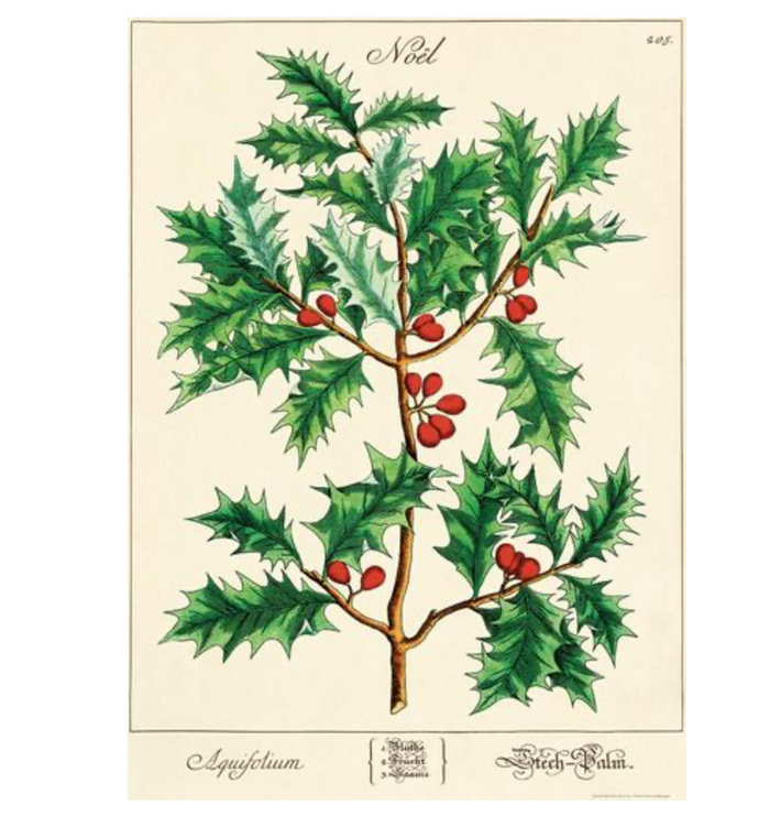 Christmas Holly Poster
