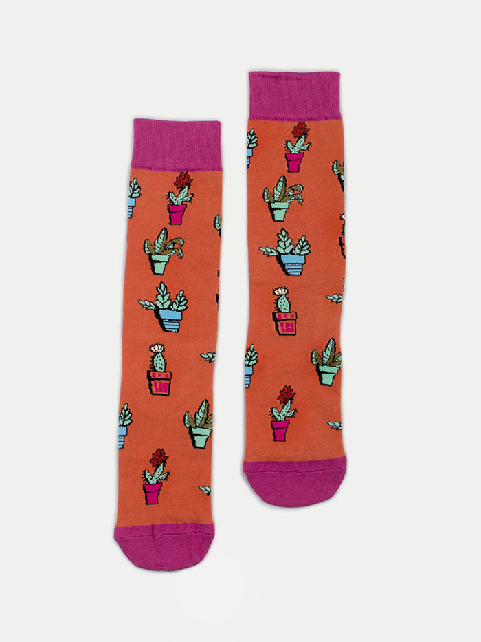 Cosmic Crew Socks | Succulents-Image 1