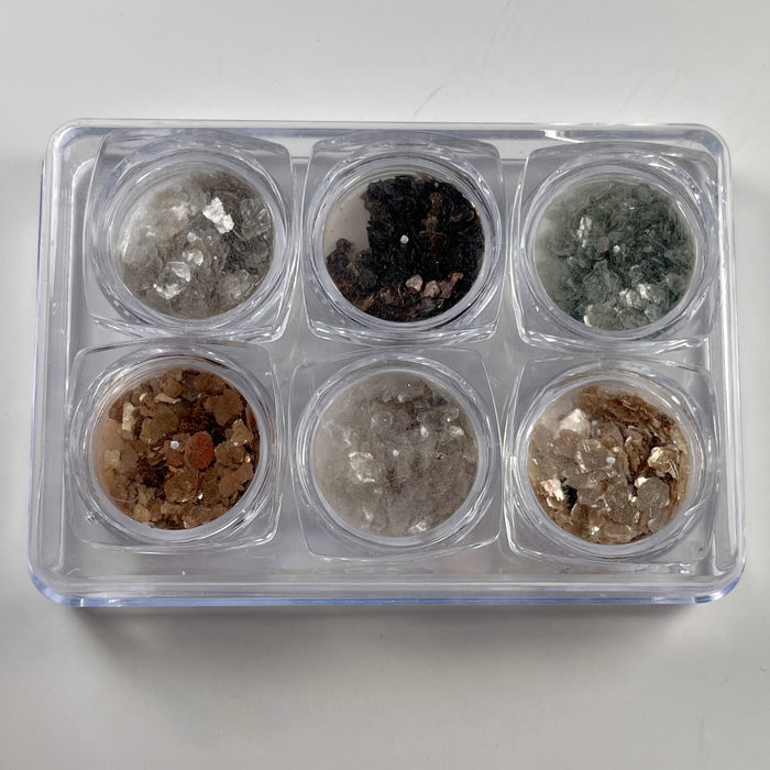Crushed Shells 6 Pack | Lula Beauty