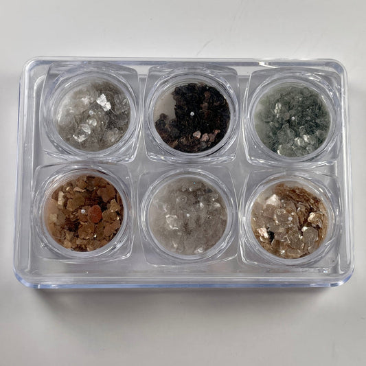 Crushed Shells 6 Pack | Lula Beauty
