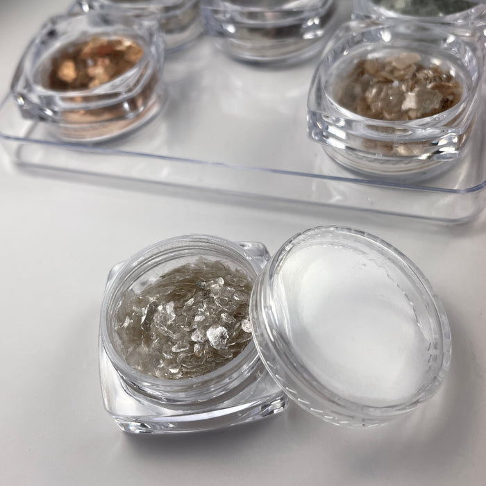 Crushed Shells 6 Pack | Lula Beauty