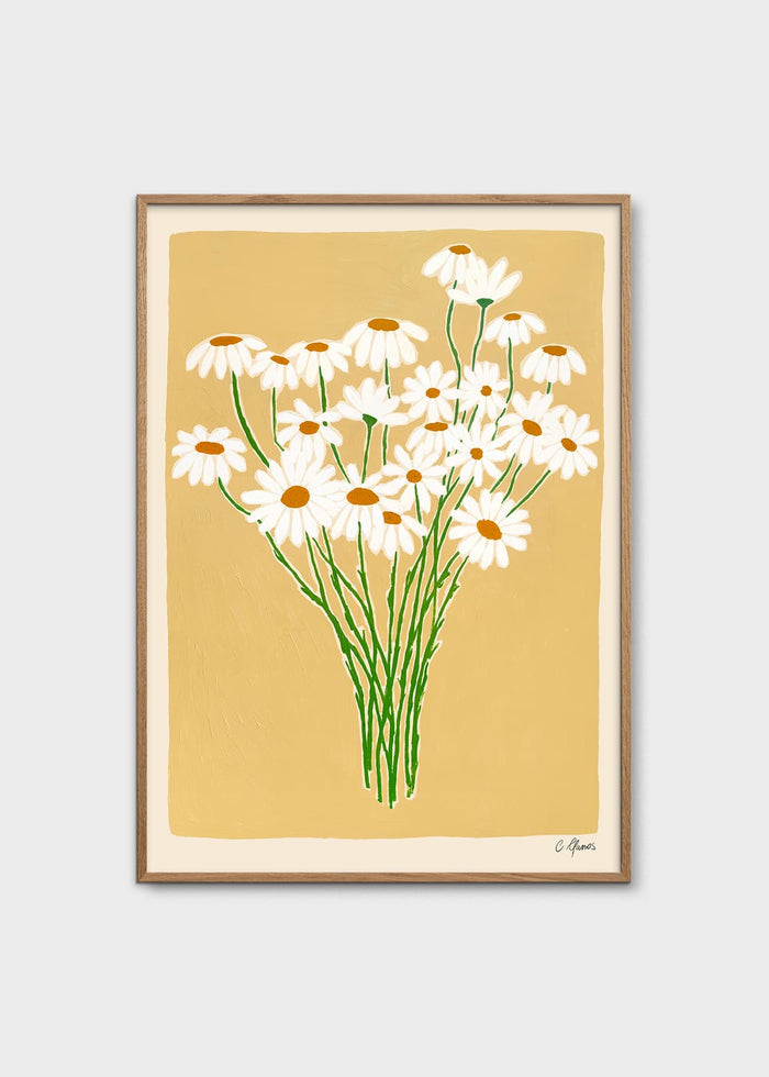Daisies by Carla Llanos