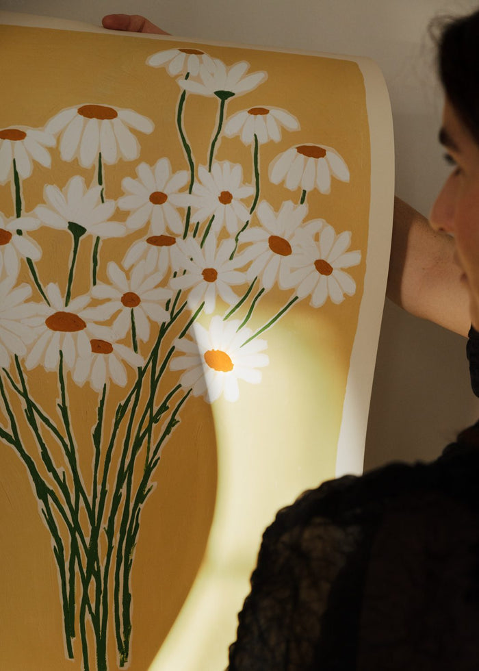 Daisies by Carla Llanos