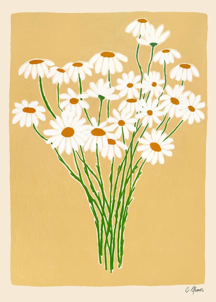 Daisies by Carla Llanos