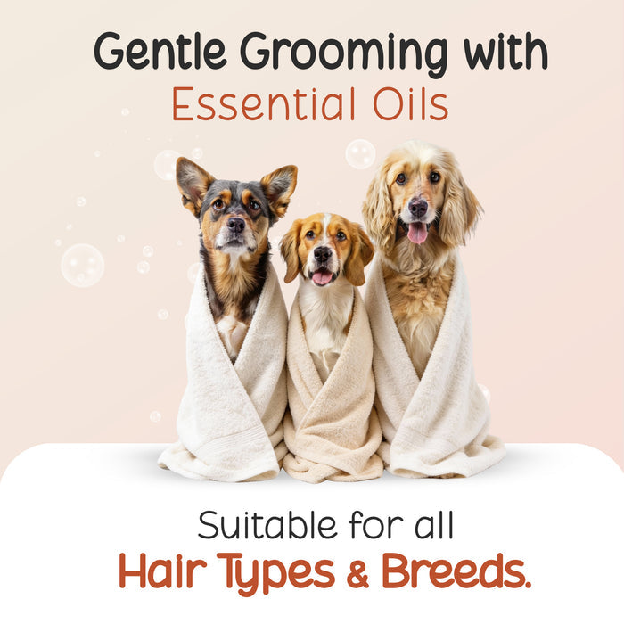 DOG SHAMPOO + CONDITIONER