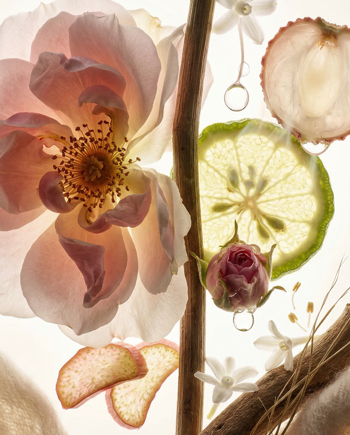 Doll Fragrance Mist - Desire