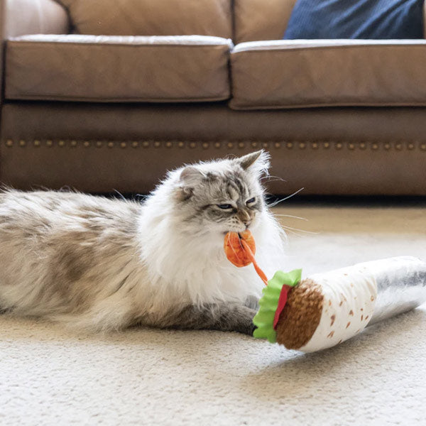 Feline Frenzy Kicker Toys - City Bird