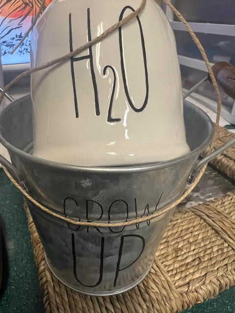 Flower Nursery Set Grow up and H2O (Set)