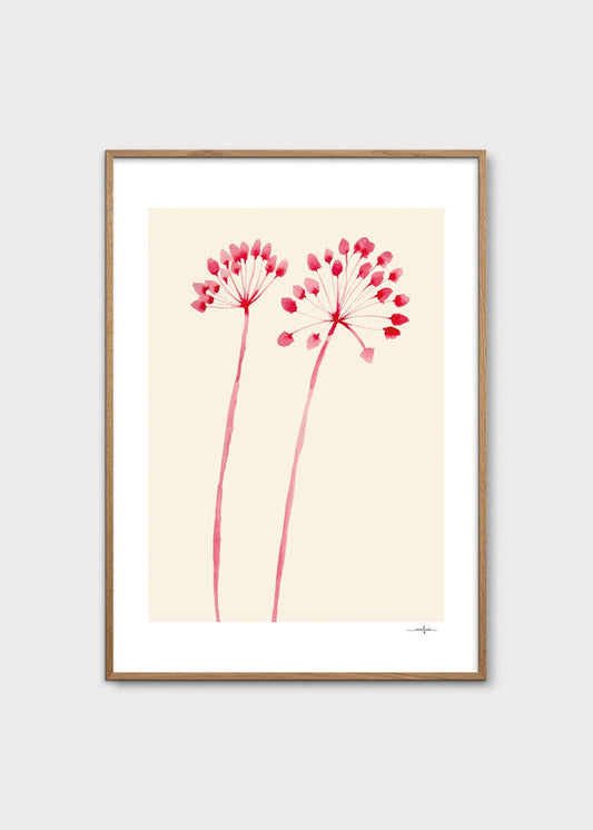 Flowers 02 by Ana Frois
