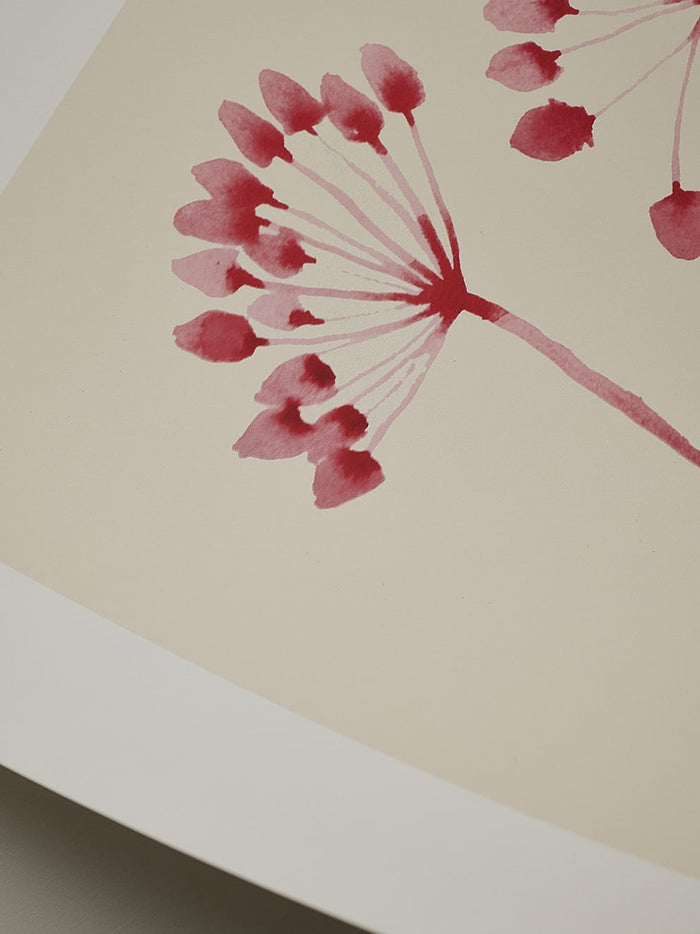 Flowers 02 by Ana Frois