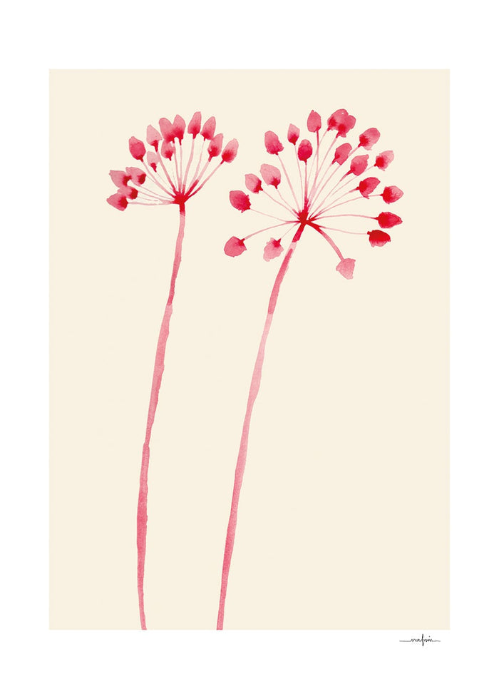 Flowers 02 by Ana Frois