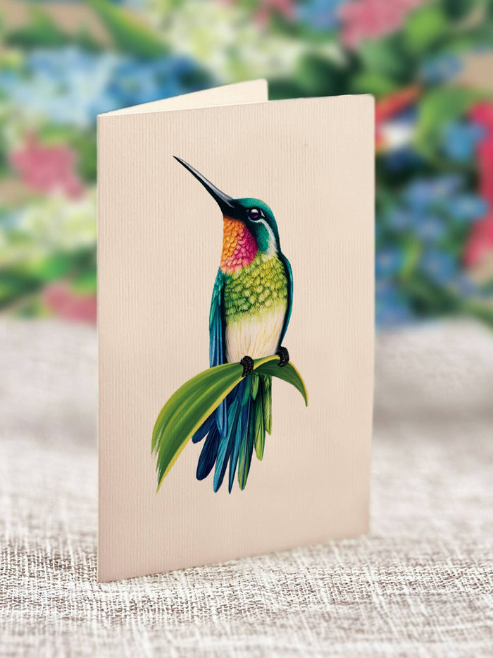 Fresh Cut Hummingbird Oasis (8 Pop-up Greeting Cards)