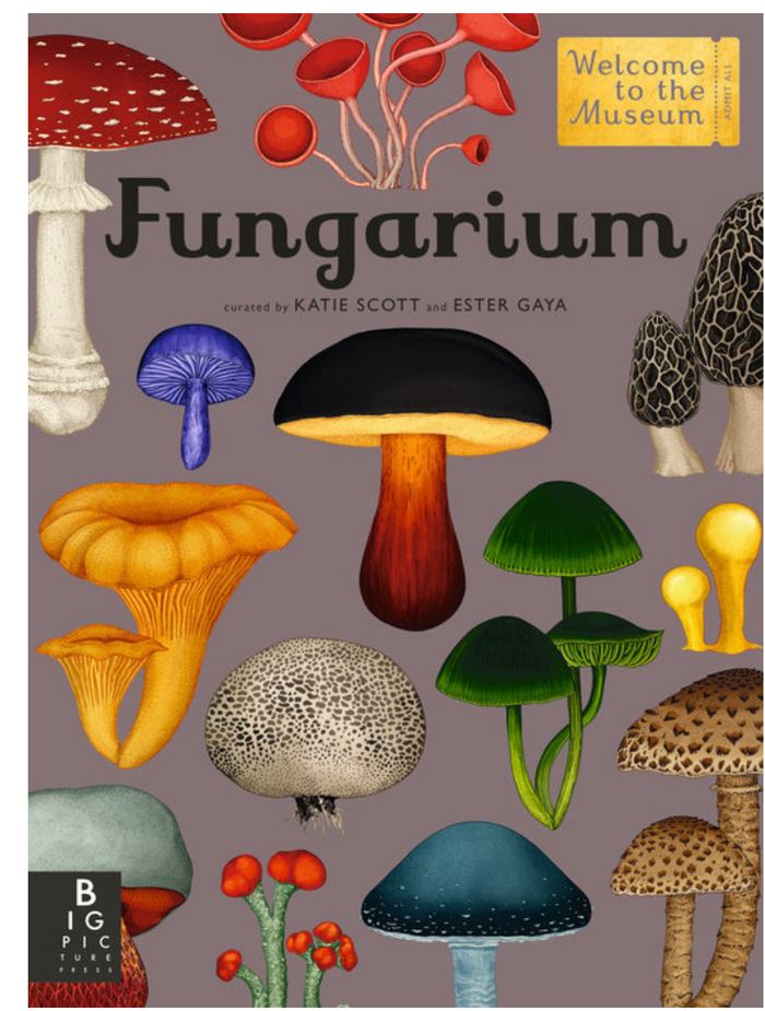 Fungarium. :: welcome to the museum