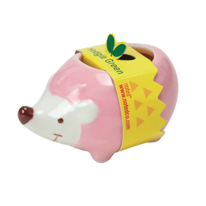 Hedgie Green Grow Kits - City Bird