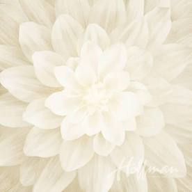 Hoffman - Dream Big - Floral - Digital Print - 42" Square Panel