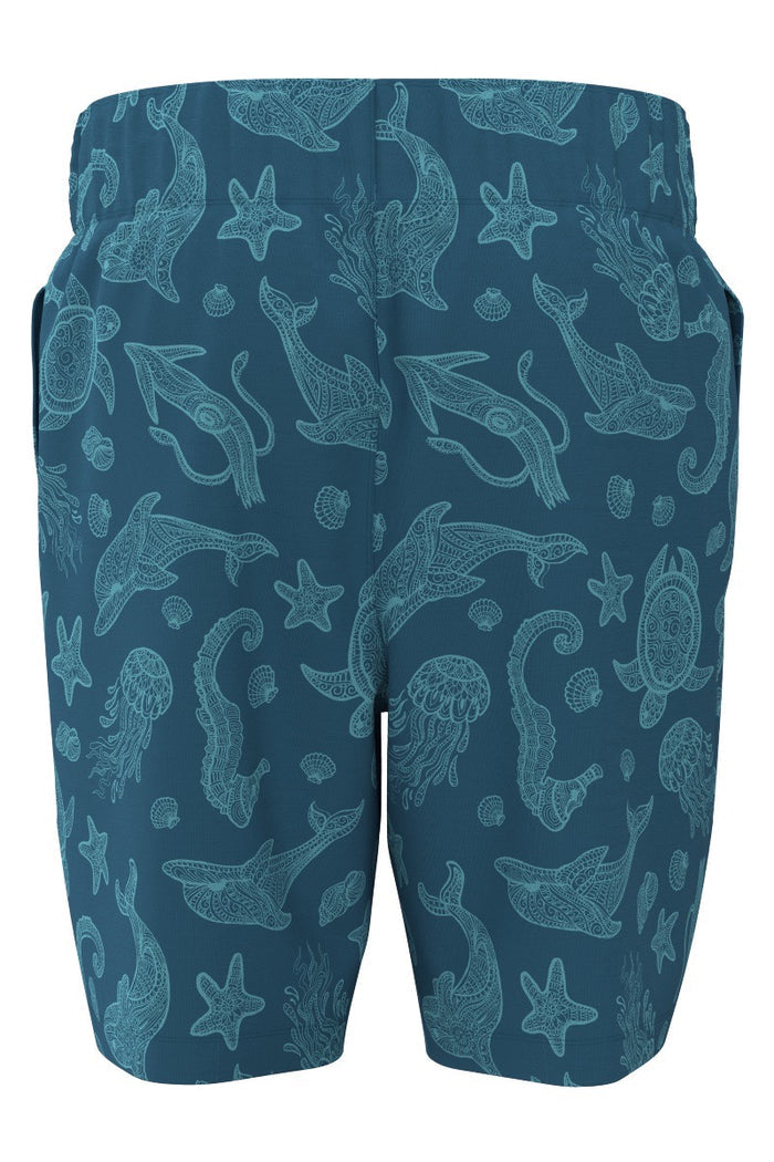Color_Bluejay Ocean Animals