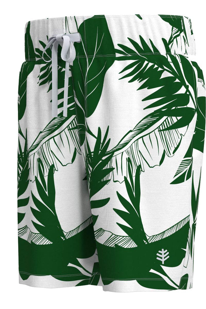 Color_Eden Palm Paradise