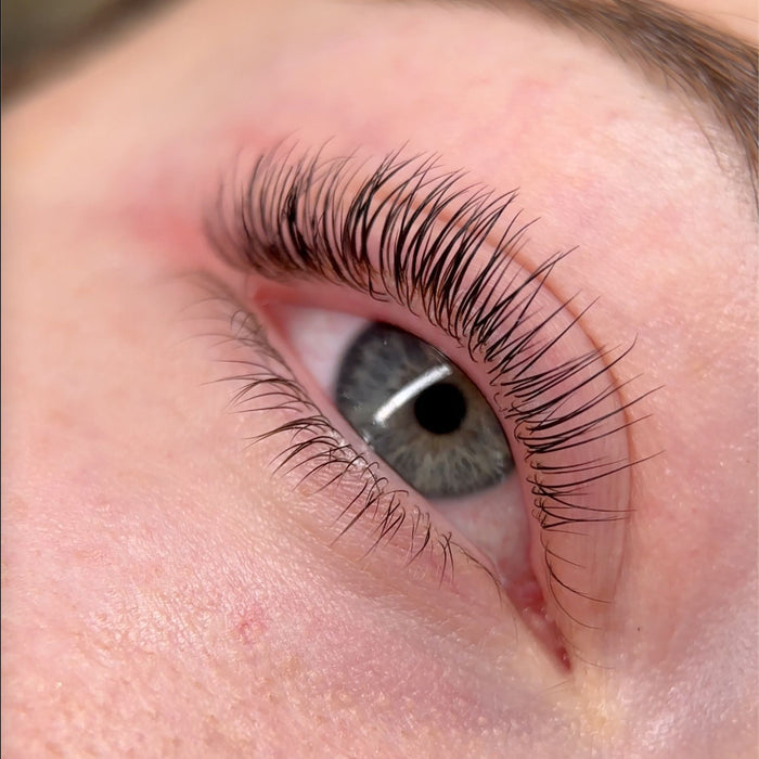 Lash Alchemy Align Hybrid Shields