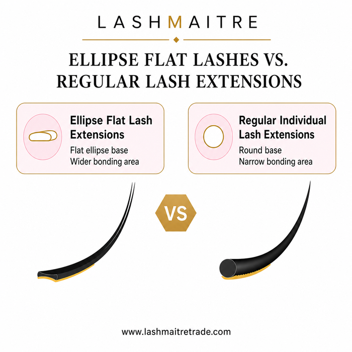 LASHMAITRE Ellipse Flat Lashes 0.20mm ellipse flat lashes vs regular lash extensions comparison